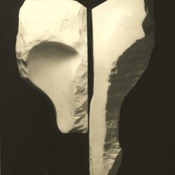 LA VOLPE A DUE FACCIE